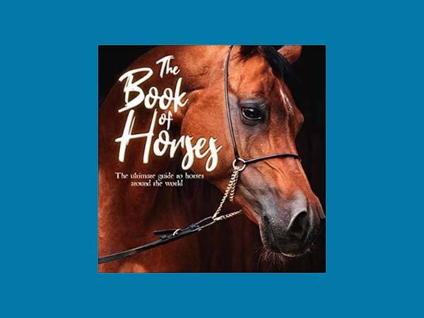 Top 10 Melhores Livros Sobre Cavalos