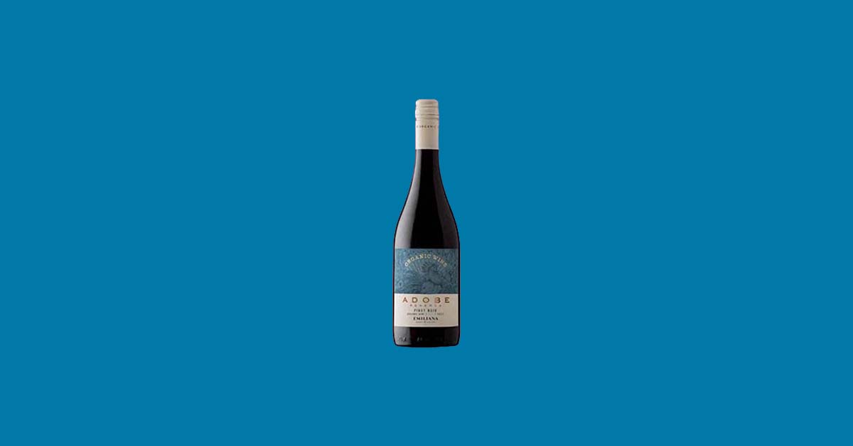 Top 10 Melhores Vinhos Chilenos de 2026!