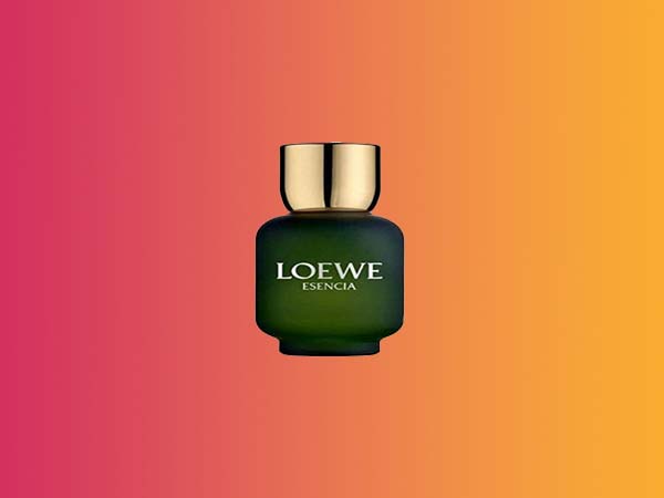 Top 5 Melhores Perfumes LOEWE de 2023